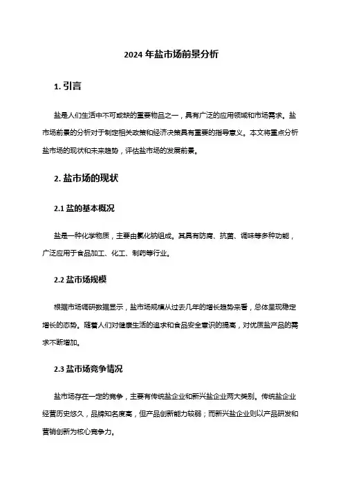 2024年盐市场前景分析