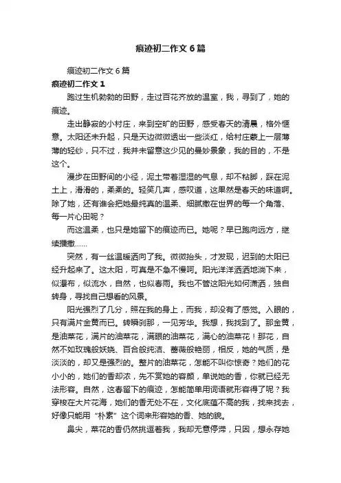痕迹初二作文6篇