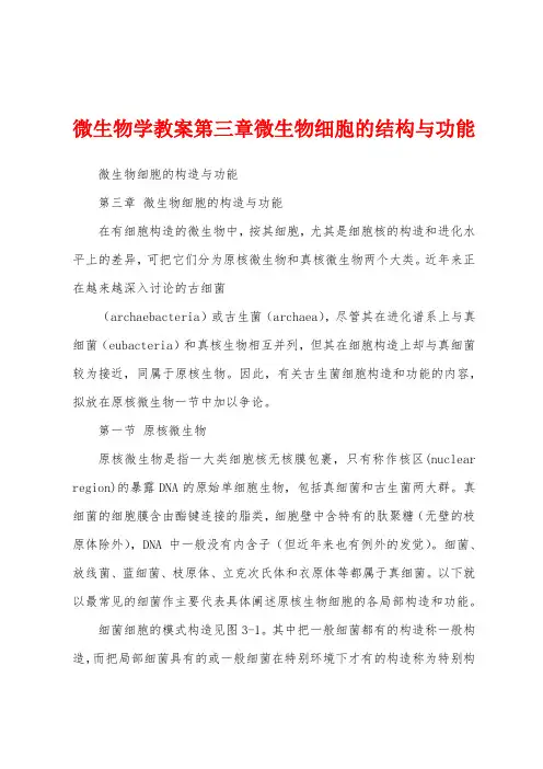 微生物学教案第三章微生物细胞的结构与功能