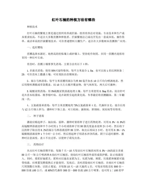 红叶石楠的种植方法有哪些