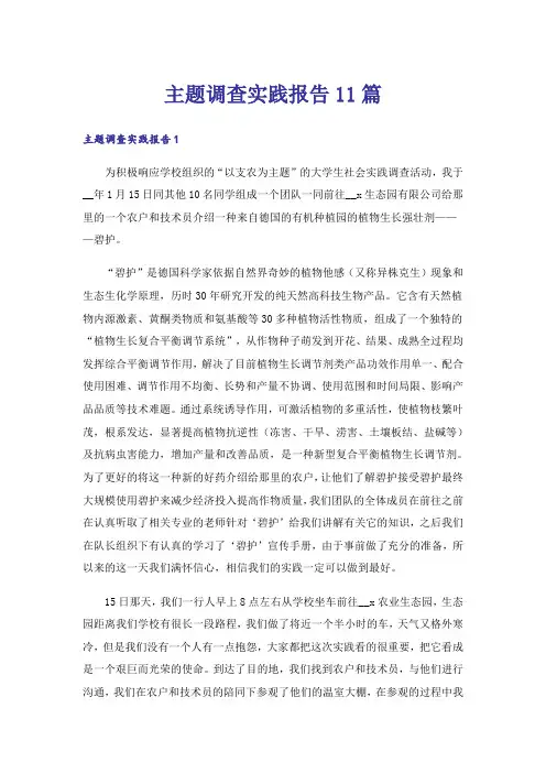 主题调查实践报告11篇