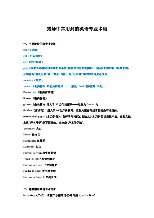 猪场中常用到的英语专业术语