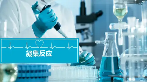 临床免疫检验：凝集反应