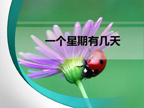 新北师大版二年级数学上册《一个星期有几天》精品课件 (2).ppt