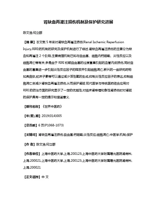 肾缺血再灌注损伤机制及保护研究进展