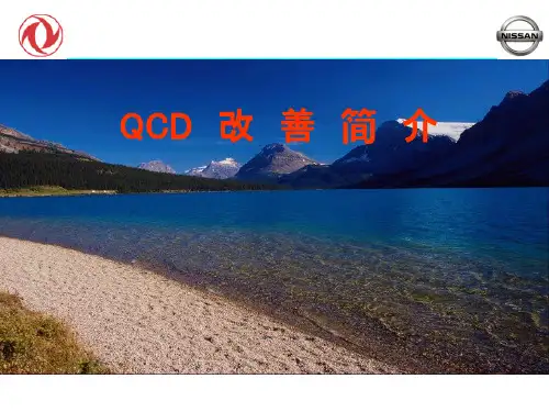 QCD改善简介