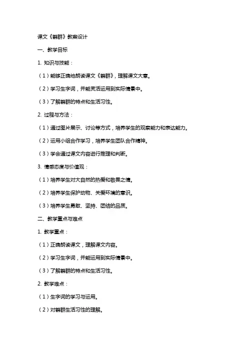课文鹤群的教案设计