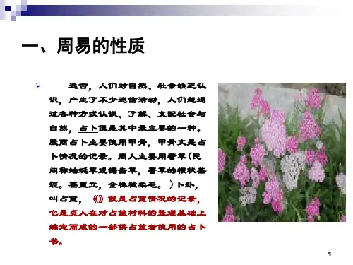 周易讲解及解卦精品PPT课件