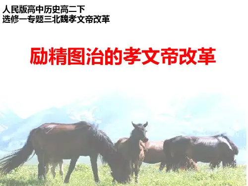 人民历史选修1专题三1.励精图治的孝文帝改革(共28张PPT)