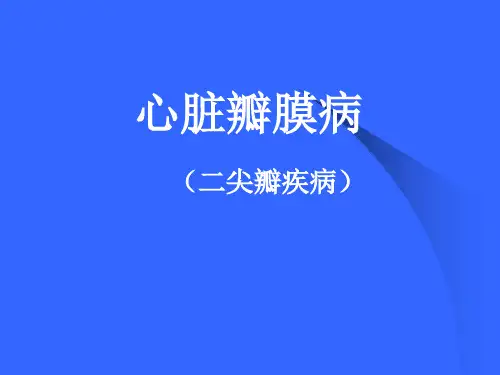二尖瓣疾病1精品PPT课件