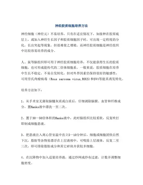 神经胶质细胞培养方法