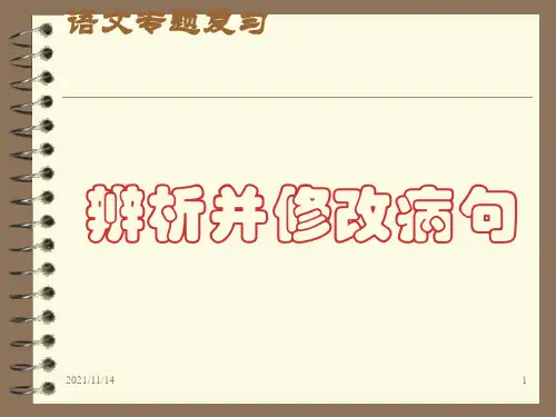 高中语文修改病句专题复习