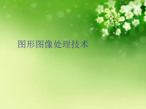 图形图像处理技术优秀课件