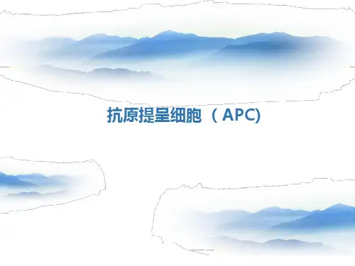 抗原提呈细胞