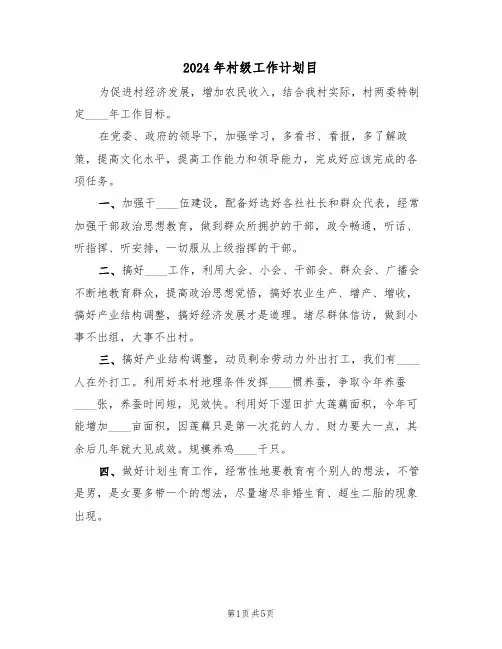 2024年村级工作计划目(二篇)