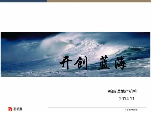 某别墅项目定位报告.ppt