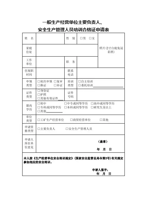 一般生产经营单位主要负责人、