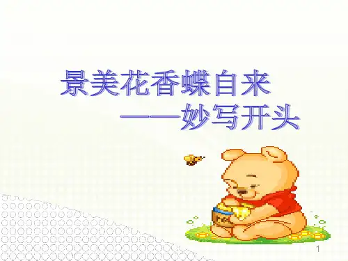 记叙文开头写法ppt课件