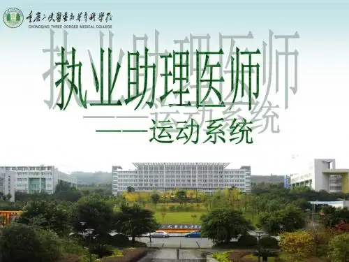 运动系统(执业助理医师考试辅导)