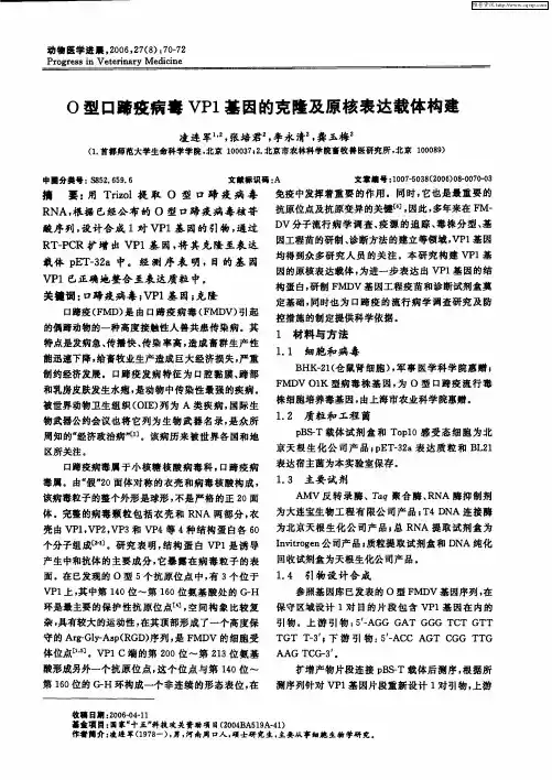 O型口蹄疫病毒VP1基因的克隆及原核表达载体构建