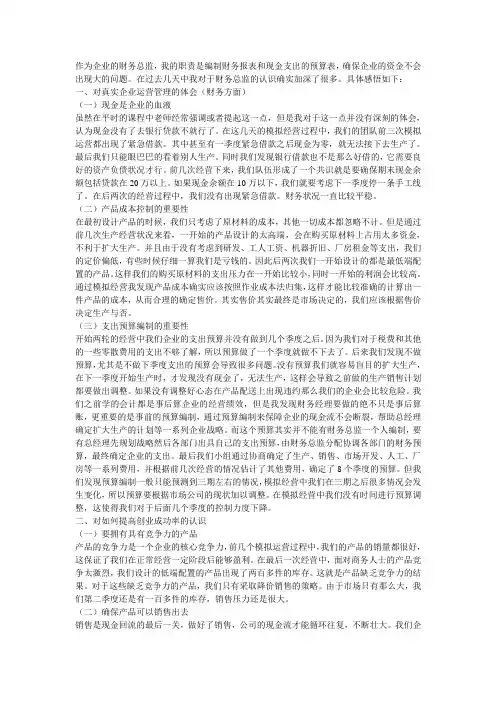 ERP模拟财务总监个人总结