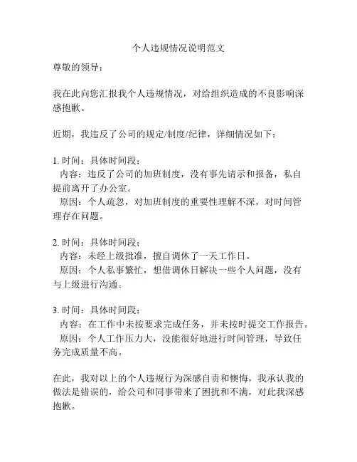 个人违规情况说明范文