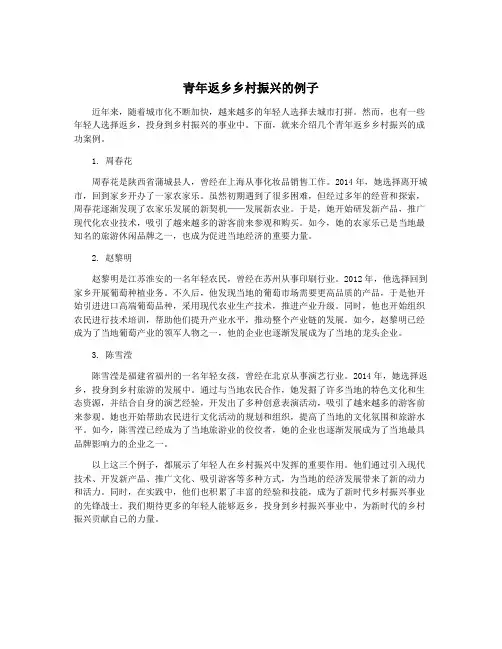 青年返乡乡村振兴的例子