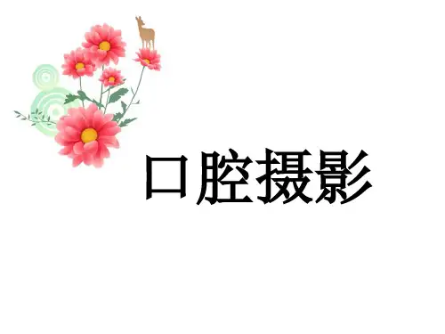 口腔摄影