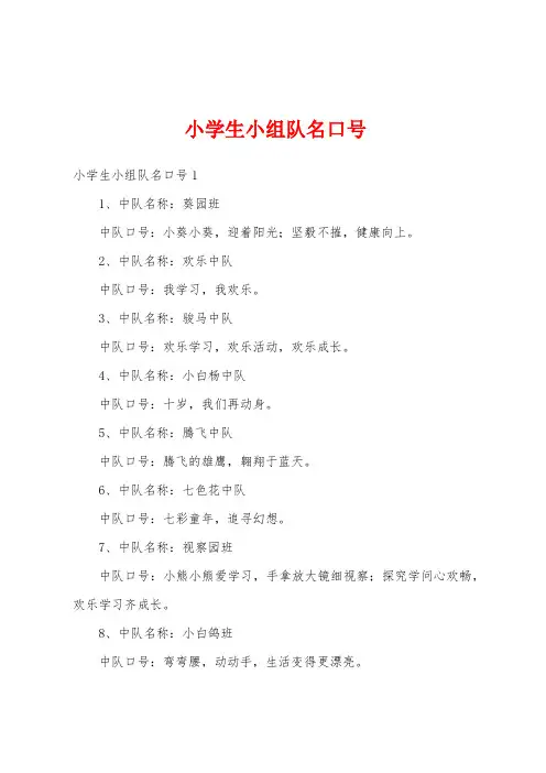 小学生小组队名口号