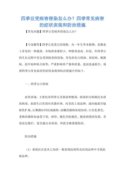 四季豆受病害侵染怎么办？四季常见病害的症状表现和防治措施