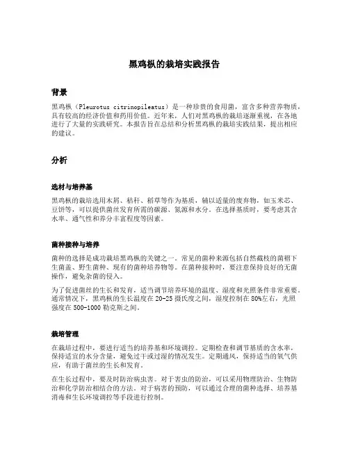黑鸡枞的栽培实践报告