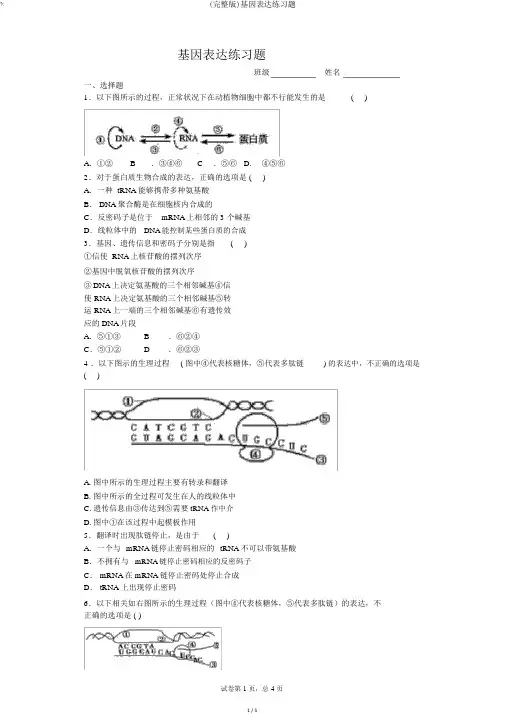 (完整版)基因表达练习题