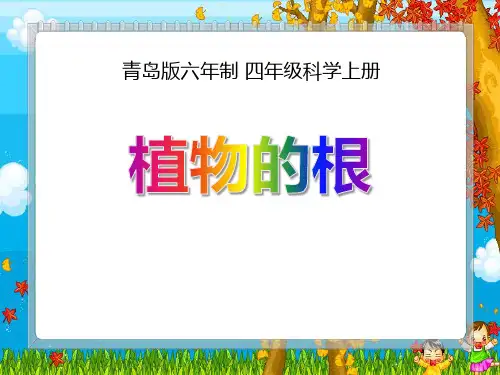 《植物的根》PPT