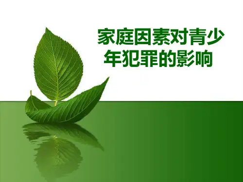 家庭因素对青少年犯罪的影响