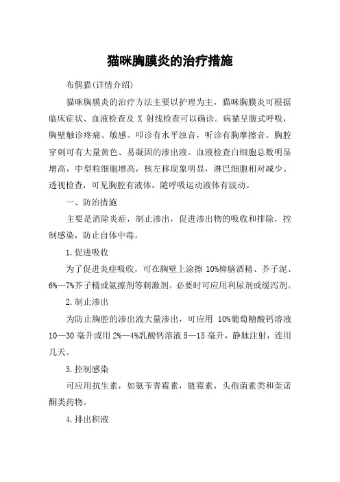 猫咪胸膜炎的治疗措施