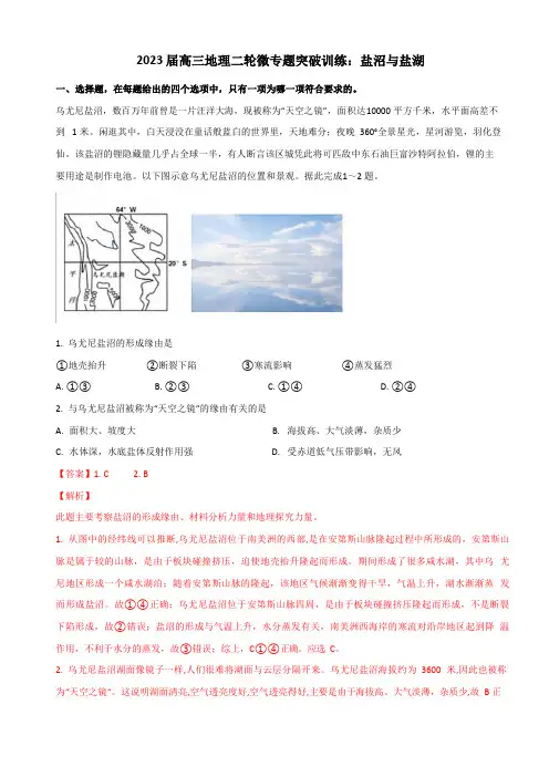 2023年届高三地理二轮微专题突破训练：盐沼与盐湖