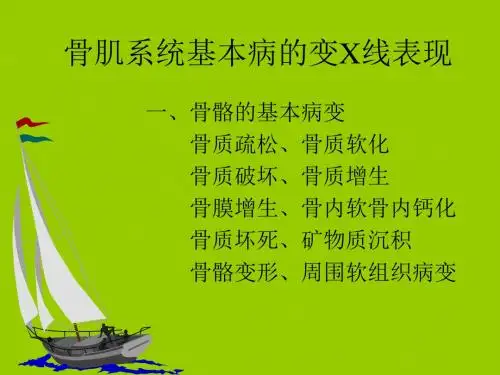 骨关节基本病变ppt精品医学课件