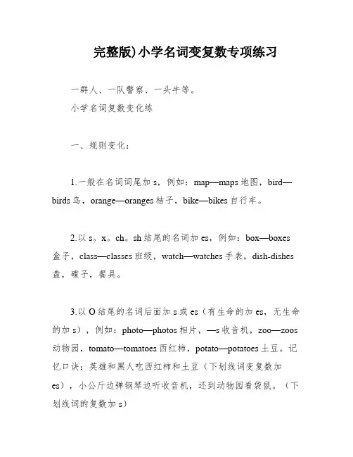 完整版)小学名词变复数专项练习