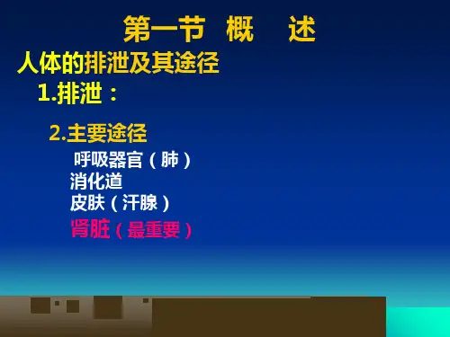 人体解剖生理学课件-第九章泌尿系统的结构与功能-精选文档