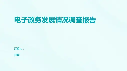 电子政务发展情况调查报告