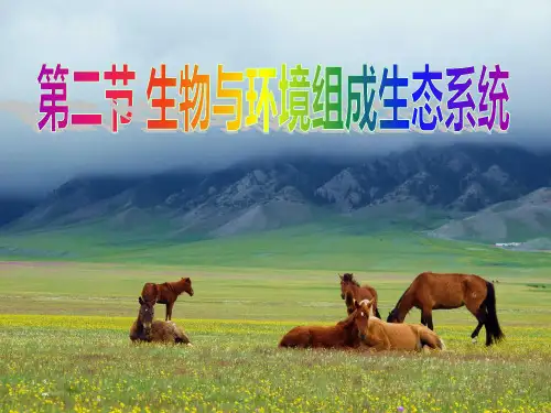 生物与环境组成生态系统