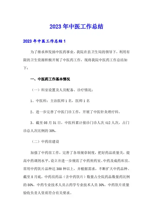 2023年中医工作总结