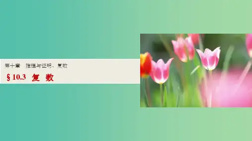 高考数学一轮复习 第十章 推理与证明、复数 10.3 复数课件
