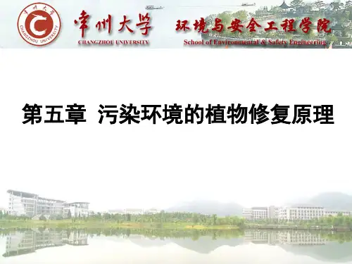 污染环境的植物修复原理知识讲解