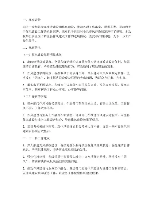 作风建设情况视察报告