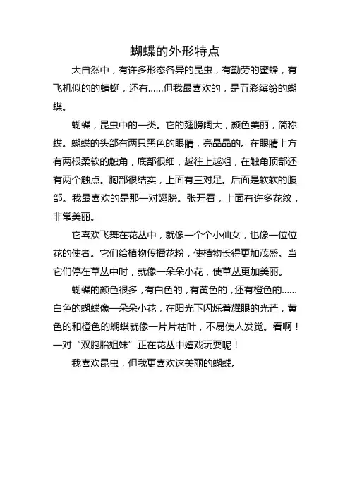 蝴蝶的外形特点作文
