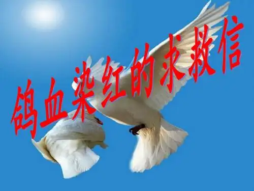 鸽血染红的求救信1