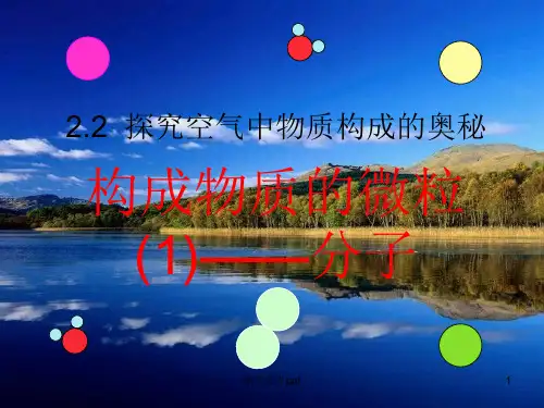 粤教版九年级化学第二章22222构成物质的微粒——分子