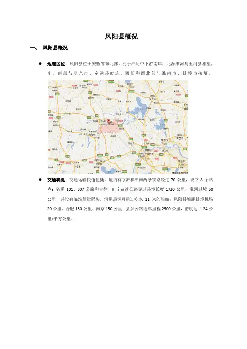 凤阳县市场概况