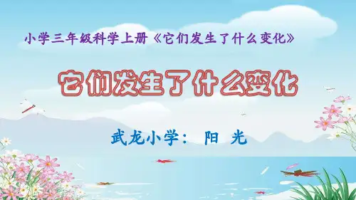 小学三年级科学上册《它们发生了什么变化》教学课件